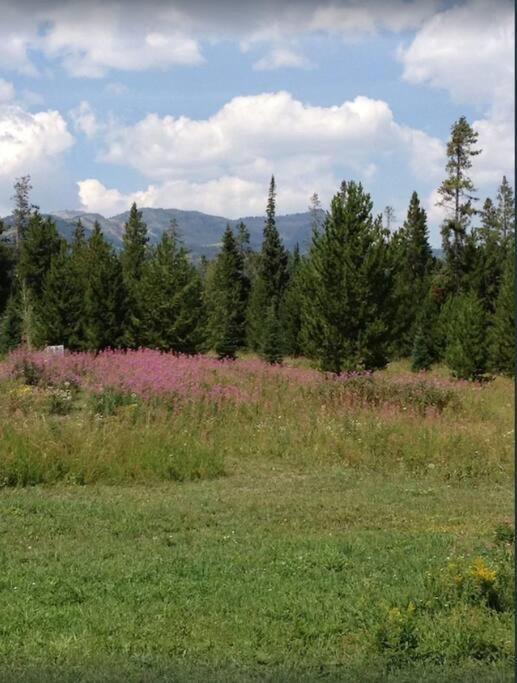 Lazy Fox Cabin West Yellowstone Exterior photo